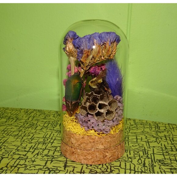 June Bug Carpenter Bee & Wasp Nest Oddity Jar taxidermy curiosity goth witchy - Picture 8 of 12